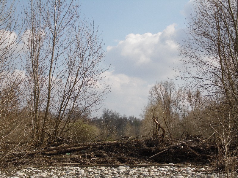 Parco del ticino 7.4.13